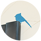 ショールームには青い鳥がおります。 ショールームには青い鳥がおります。