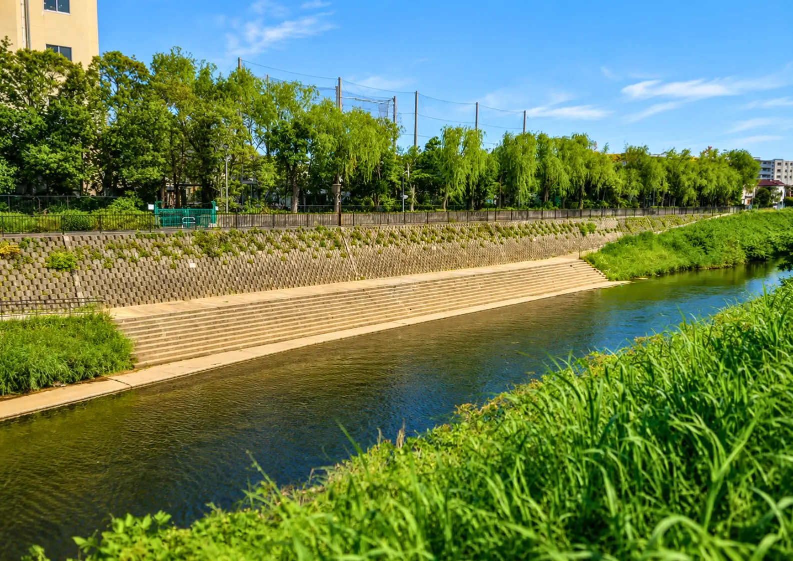 市ヶ尾水辺の広場