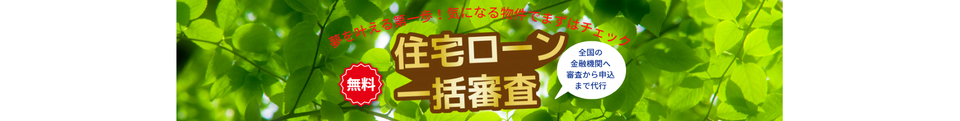 Banner Background Image