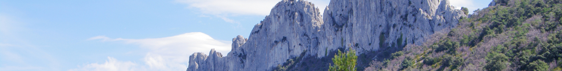 Banner Background Image