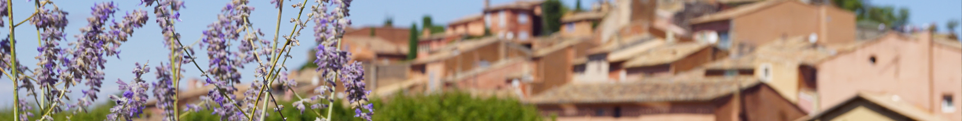 Banner Background Image