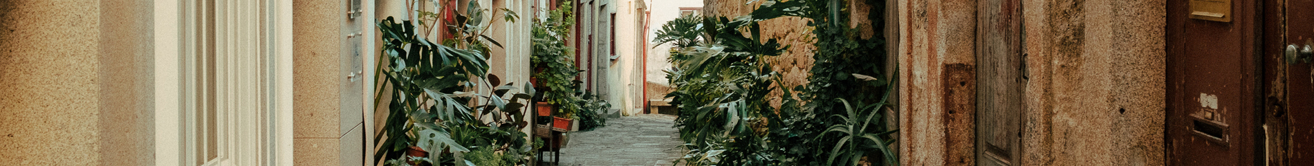 Banner Background Image