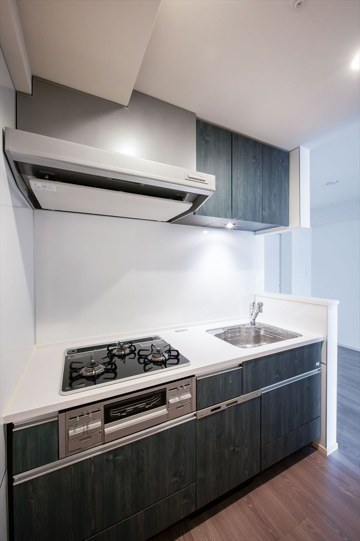 パレステージ墨田立花 (20)_R