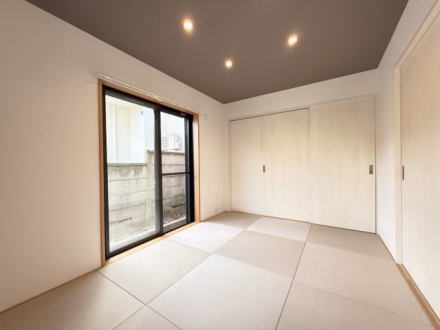 55541_58925_4_440_440