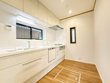 55541_58925_5_440_440