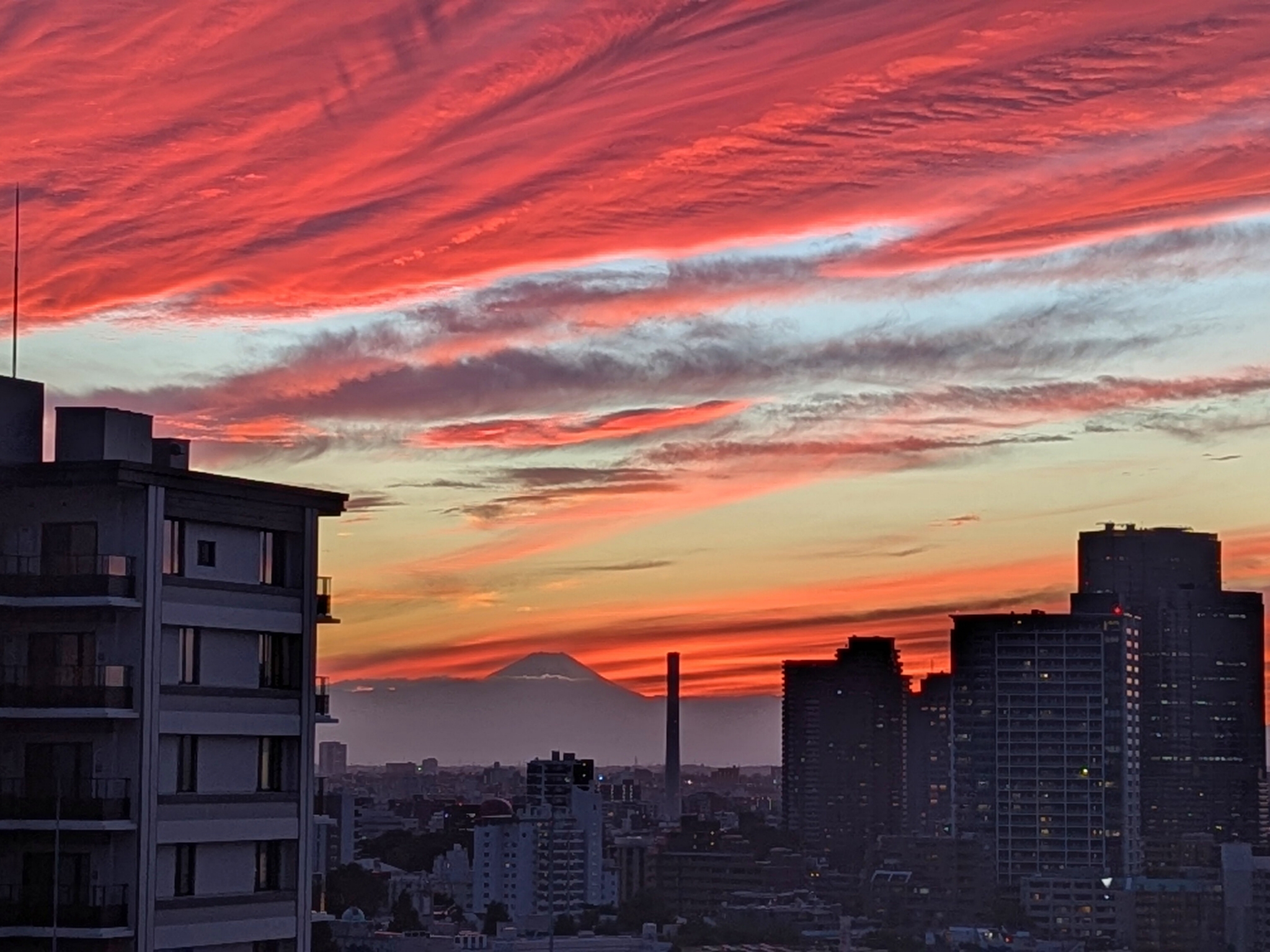 LINE_ALBUM_白金タワー_251102_1