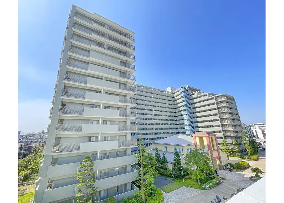 image1-Nov-07-2025-05-14-31-5801-AM